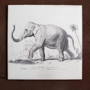 Elephant Sketch on Tile